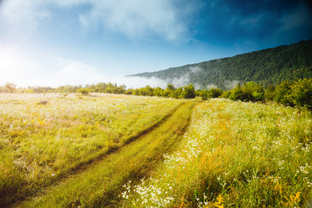 Calm summer view of the pasture in the morning light. Location place Dniester canyon, Ukraine, Europe. Vibrant photo wallpaper. Nature photography. Wonders of the world. Discover the beauty of earth.の写真素材