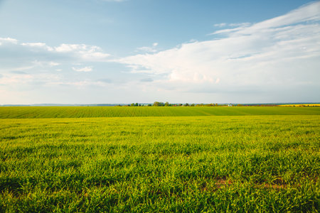 Scenic view of green rural land and cultivated fields. Location place of Ukrainian agricultural region, Europe. Ecology concept. Agrarian industry. Photo wallpaper Discover the beauty of earth.の写真素材