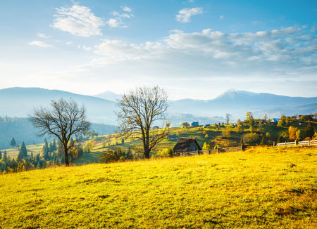 Picturesque sunny day in the mountains in spring. Location place of Carpathian mountains, Ukraine, Europe. Gorgeous photo wallpaper. Fresh vibrant colors. Discover the beauty of earth.の写真素材