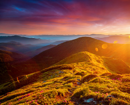 Scenic landscape in summer day with green alpine meadows.  Location place Carpathian mountains, Ukraine, Europe. Vibrant photo wallpaper. Image of exotic landscape. Discover the beauty of earth.の写真素材