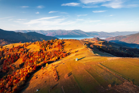 Spectacular autumn slopes from a bird's eye view on a sunny day. Location place Carpathian mountains, Ukraine, Europe. Top view, drone shot.の写真素材