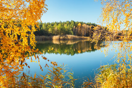 Spectacular autumn day on a quiet lake surrounded by a forest. Location place Small Polissya, Ukraine, Europe. Fresh, bright colors on the lake. Perfect photo wallpaper. Discover the beauty of earth.の写真素材