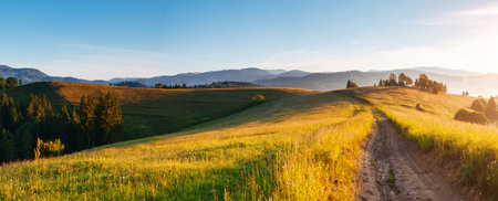 Summer meadow and splendid foggy mountain landscape at dawn. Location place Carpathian mountains, Ukraine, Europe. Image of attractive summer scene, photo wallpapers. Discover the beauty of earth.の写真素材