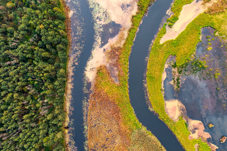 Abstract image of a marshy area from a bird's eye view. Location place Polissya region, Ukraine, Europe. Aerial photography from top to bottom.の写真素材