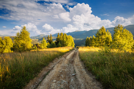 The sun's rays illuminate the green slopes in the mountainous area on a sunny day. Location place Carpathian mountains, Ukraine, Europe. Sunshine vibe. Photo wallpapers. Discovery of the beauty of earth.の写真素材