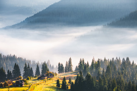 Spectacular landscape with fog in a valley from a bird's eye view. Location place Carpathian mountains, Ukraine, Europe. Top view, aerial photography.の写真素材