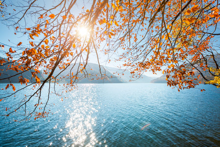 The sun shines through the trees on the shore of the lake. Location place Carpathian mountains, Ukraine, Europe. Image of relaxation and meditation.の写真素材