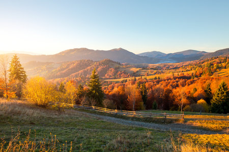 Fantastic autumn slopes in warm evening light. Location place Carpathian mountains, Ukraine, Europe. Idyllic and tranquil view of rolling hills.の写真素材