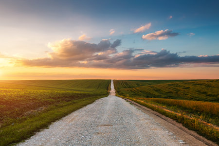 Country road passes through agricultural land and cultivated fields. Location place agricultural region of Ukraine, Europe. Perfect natural photo wallpaper. Beauty of earth.の写真素材