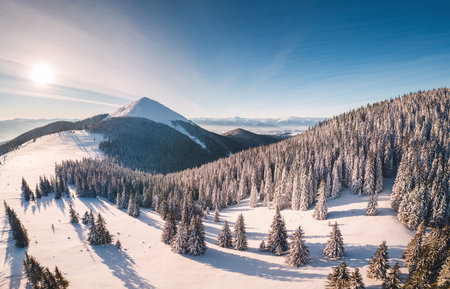 A magical winter landscape of nature from a bird's eye view. Scenic image of woodland. Location Carpathian, Ukraine. Aerial photography, drone shot. Discovery of the beauty of earth.の写真素材