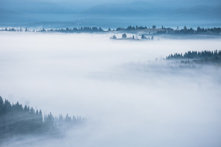 Spectacular landscape with fog in a valley from a bird's eye view. Location place Carpathian mountains, Ukraine, Europe. Top view, aerial photography.の写真素材