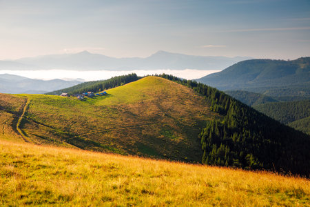 Splendid summer scene of a rolling hills on a sunny day. Mountains in morning light. Location place Carpathian, Ukraine, Europe. World landmarks. Vibrant photo wallpaper. Discover the beauty of earth.の写真素材