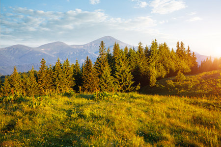 Picturesque summer scene of green mountains on a sunny day. Location place Carpathian mountains, Ukraine, Europe. Vibrant photo wallpaper. Wild protected area. Explore the beauty of earth.の写真素材