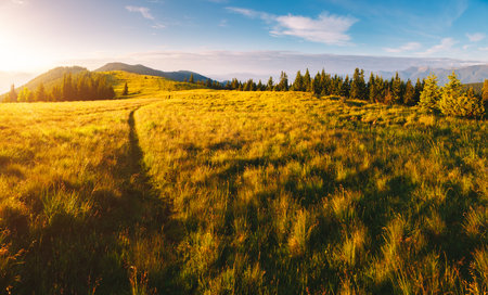 Morning sunlight illuminates the mountain ranges. Location place Carpathian mountains, Ukraine, Europe. Vibrant photo wallpaper. Summer trip concept. Explore the beauty of earth.の写真素材