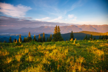 Picturesque summer scene of green mountains on a sunny day. Location place Carpathian mountains, Ukraine, Europe. Vibrant photo wallpaper. Wild protected area. Explore the beauty of earth.の写真素材