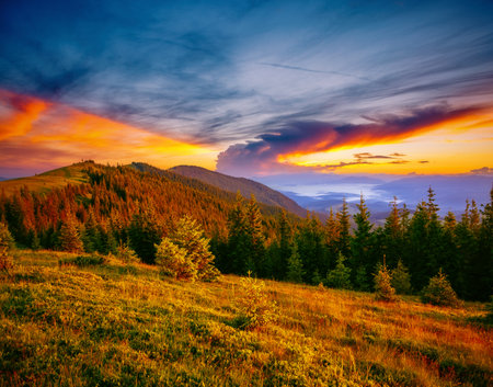 Spectacular summer sunset scene in the mountains with perfect sky. Location place Carpathian mountains, Ukraine, Europe. Vibrant photo wallpaper. Wild protected area. Discover the beauty of earth.の写真素材
