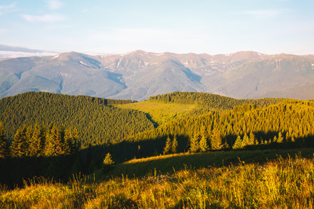 Picturesque summer scene of green mountains on a sunny day. Location place Carpathian mountains, Ukraine, Europe. Vibrant photo wallpaper. Wild protected area. Explore the beauty of earth.の写真素材