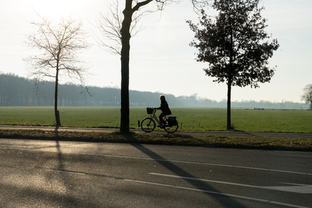 A silhouette of a cyclist with trees in the morning sun with mist and grasslandの写真素材