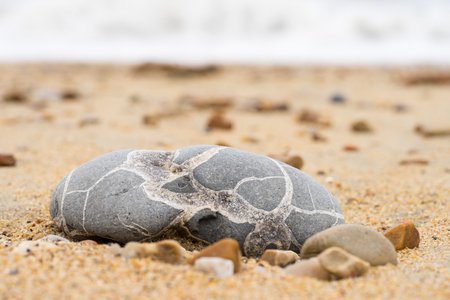 Gray stone with white lines lying on a sand beach.の写真素材