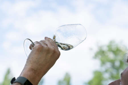 Male hands holding a glass of white wine at an outdoor wine tastingの写真素材