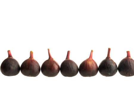 Line of fresh fruit, figs, isolated on a white background side viewの写真素材