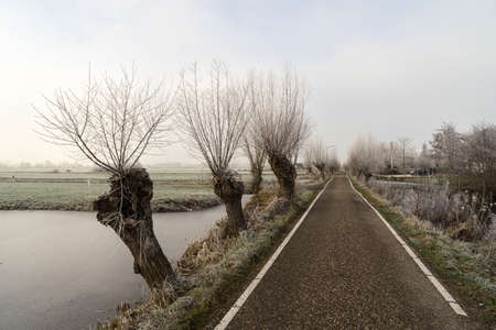 Frozen polder landscape with ditch and Pollard Willows and countryroad in The Netherlandsの写真素材