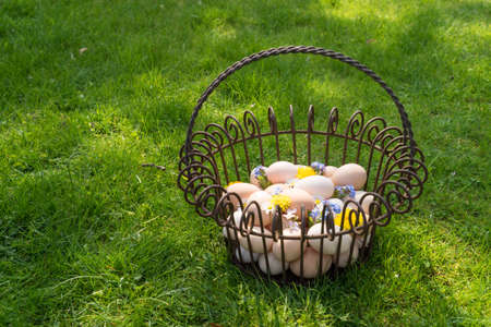 Basket with eggs on the grass to find on easter morningの写真素材