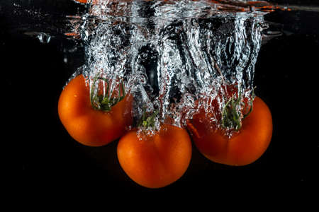 Tomatoes splashing in water on a black backgroundの写真素材