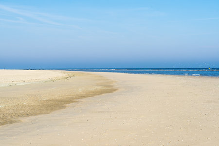 A Yellow empty beach at the Dutch North Sea in summer with blue sky and sea