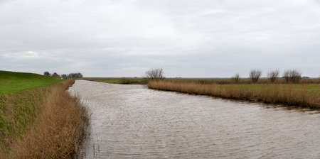 The canal on the island Texel in The Netherlands on a cloudy winter day with trees and reedの写真素材