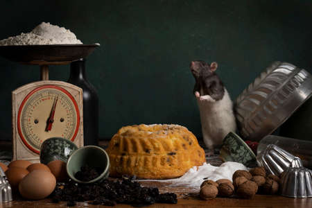 A Cute white and brown rat sitting in a stil life scene themed baking cake green backgroundの写真素材