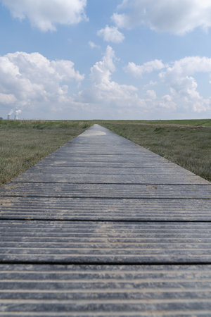A Boardwalk over the agriculture fields and nature reserve of the drowned land of Saeftinghe nature reserveの写真素材