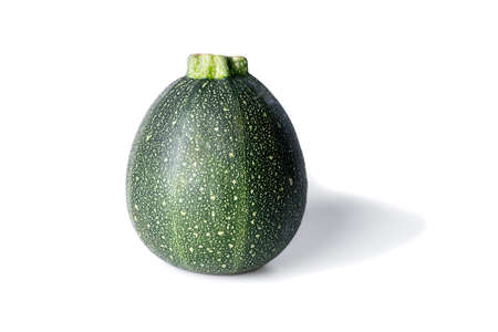 One realistic looking globe or eight ball squash or zucchini or round courgette - cucurbita pepo - isolated white backgroundの写真素材