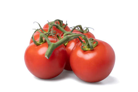 Realistic looking tomatoes isolated white backgroundの写真素材