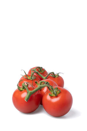Realistic looking tomatoes isolated white backgroundの写真素材