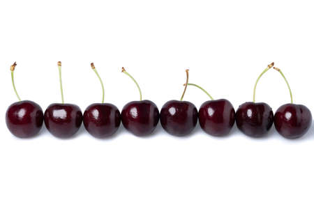 Fresh dark red cherries of the type Kordia in a line isolated on a white backgroundの写真素材