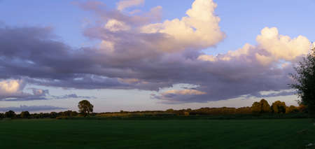 Green field of grass with cummulus clouds and sunshine panoramic viewの写真素材