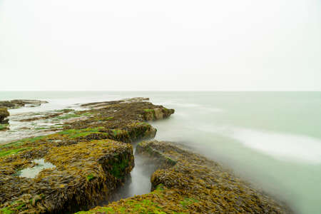 Rocks on the beach on the French opal coast with seamoss and green milky sea Copy space. Horizonの写真素材