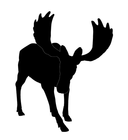 Beautiful silhouette of an adult moose with big antlers. Isolated on white.のイラスト素材