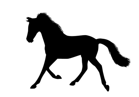 Silhouette of a running horse. There is a variant in a vector.のイラスト素材