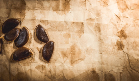 Background with old paper and persimmon seeds.の写真素材