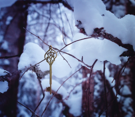 Magic golden key in the winter woods.の写真素材