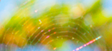 Green background bokehの写真素材