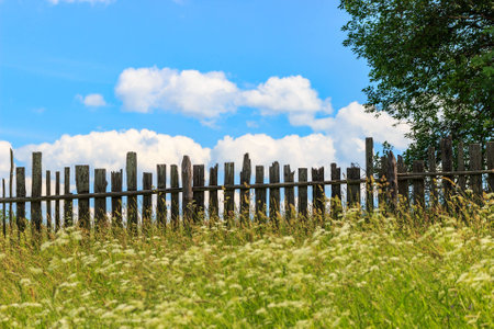 Landscape with an old fence, blue sky with clouds and wild herbs.の写真素材