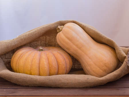 orange ripe pumpkins in a bag halloweenの写真素材