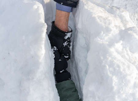 living hands in a snowdrift close-up winterの写真素材