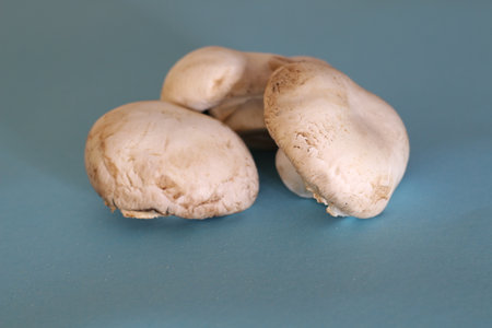 whole fresh mushrooms on a blue backgroundの写真素材