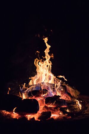 Camp fire with reddish ember in the middleの写真素材