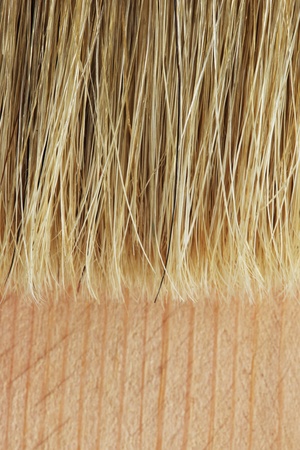 Bristle brush on a wood surface close upの写真素材