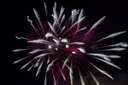 fox tail shape of fireworks during the celebration of the city
の写真素材